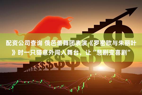 配资公司查询 俄芭蕾舞团表演《罗密欧与朱丽叶》时一只猫意外闯入舞台，让“悲剧变喜剧”